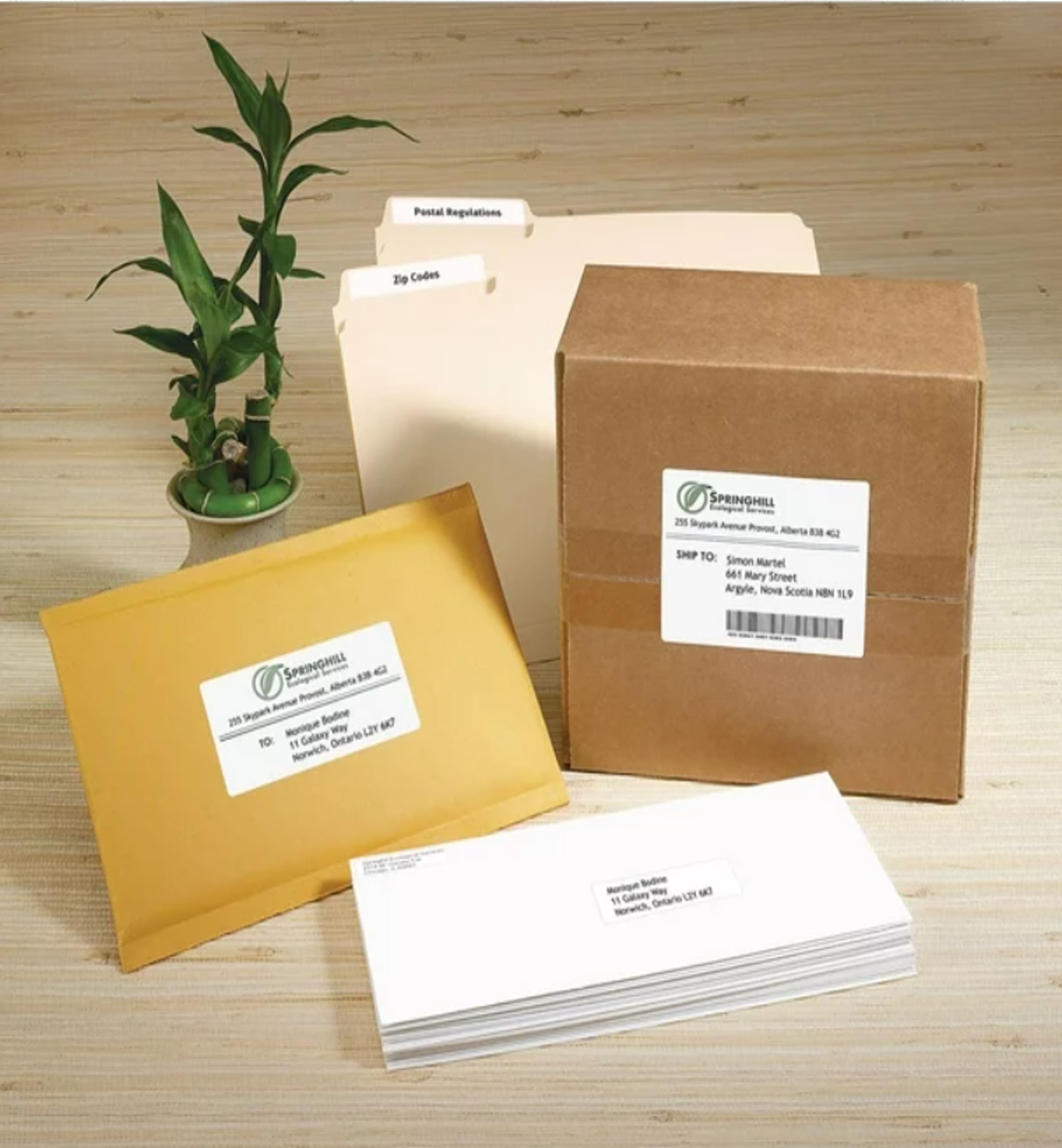 Custom Shipping and Mailing Labels